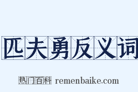 匹夫勇反义词是什么意思的图片